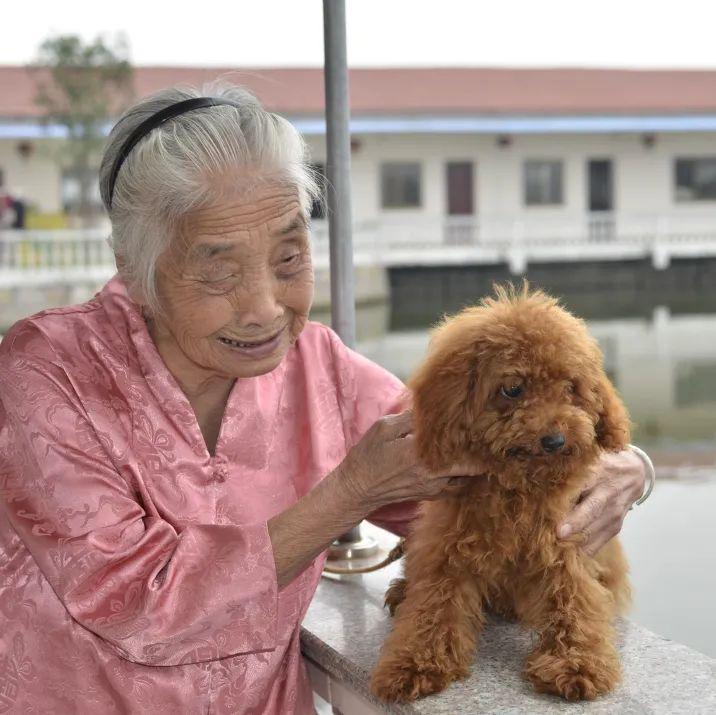 感动百年韶华一路芬芳致敬百岁退休教师鲁惠卿