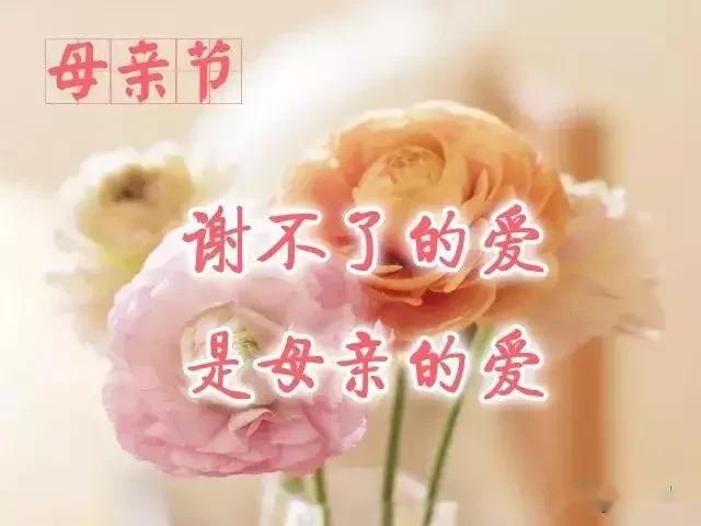 今日母亲节,愿天下母亲身体健健康康,一生平平安安
