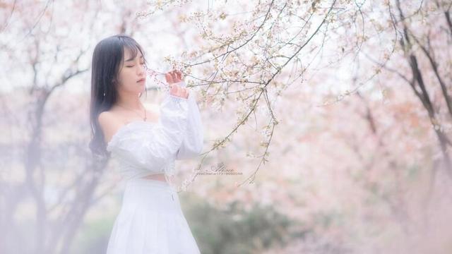 杏花雨内衣_杏花雨(2)