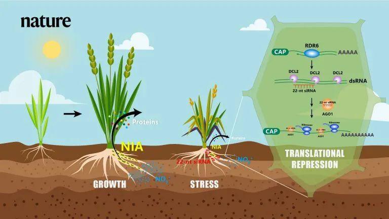 两天连发nature/science!这所"年轻"的大学开也始崭露