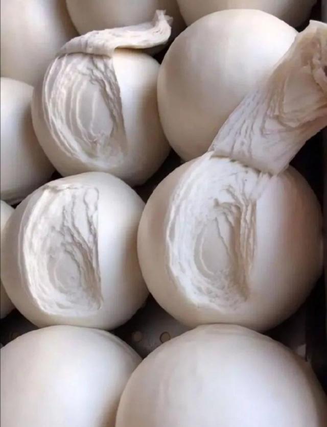 搞笑趣图仔:第一眼看错的请举个爪