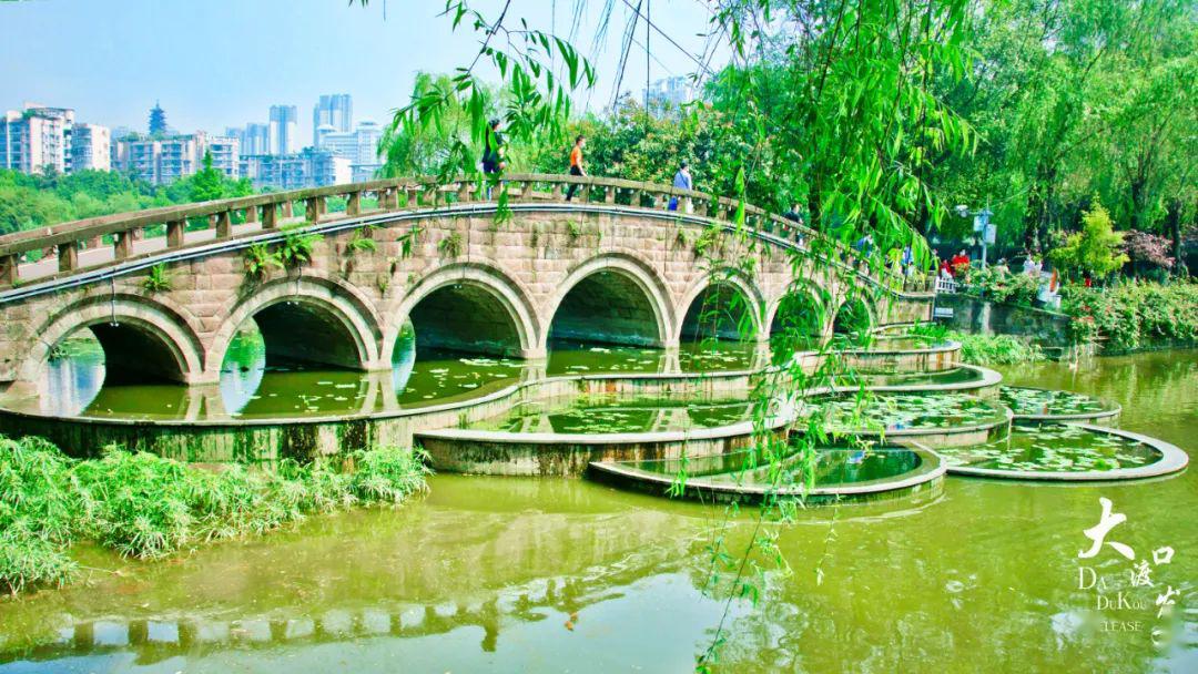大渡口初夏的公园美景来了