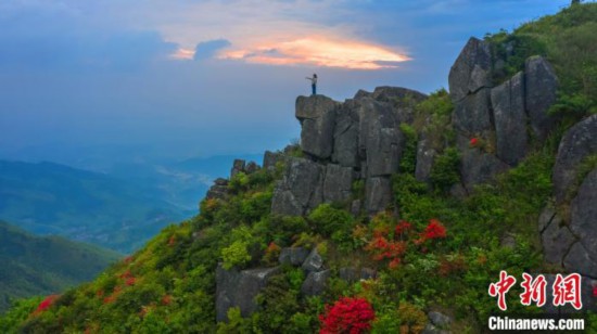 航拍江西丰城升华山万亩杜鹃 花开满高山