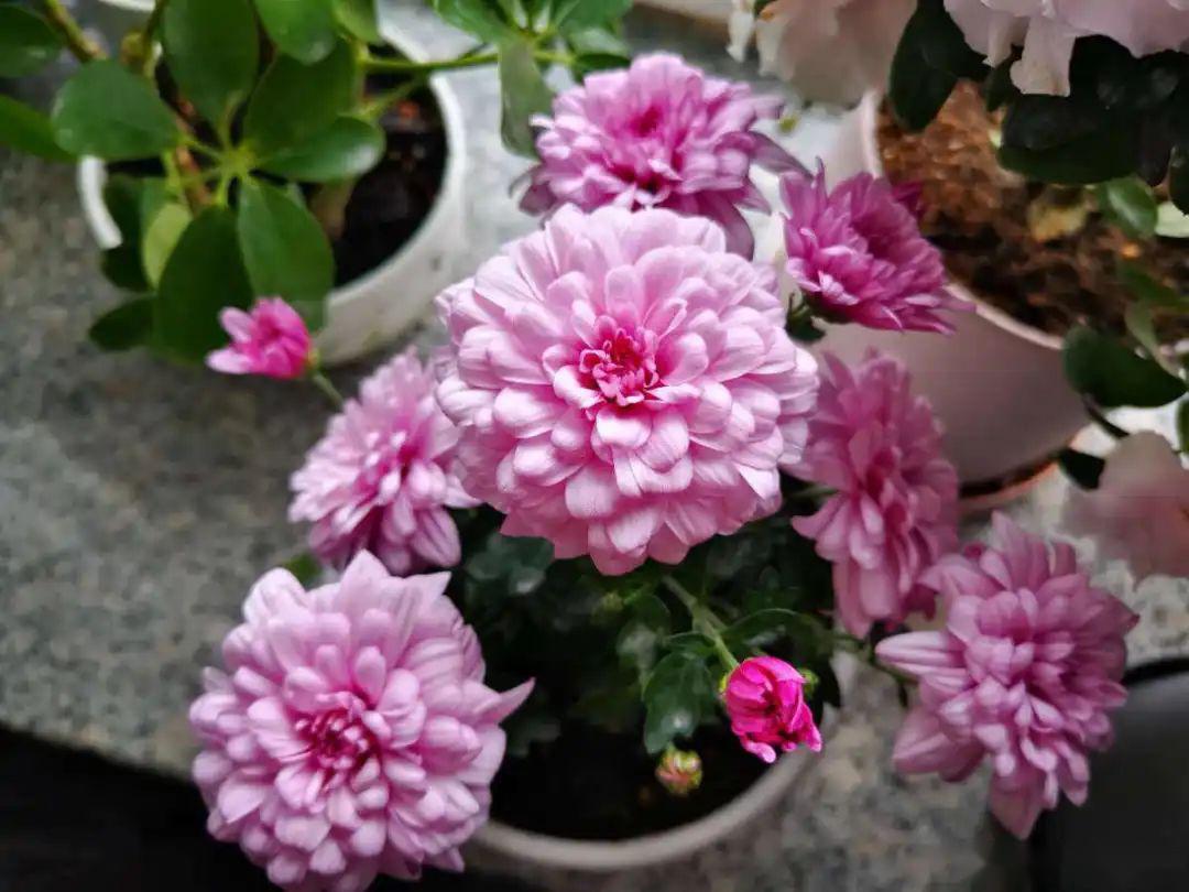 4dbfa5dd56ed433aa5c138d4d568a383.jpeg
