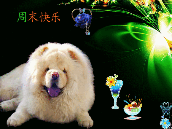 好久未联系,从不曾忘记;关怀送给你,多保重身体,早安