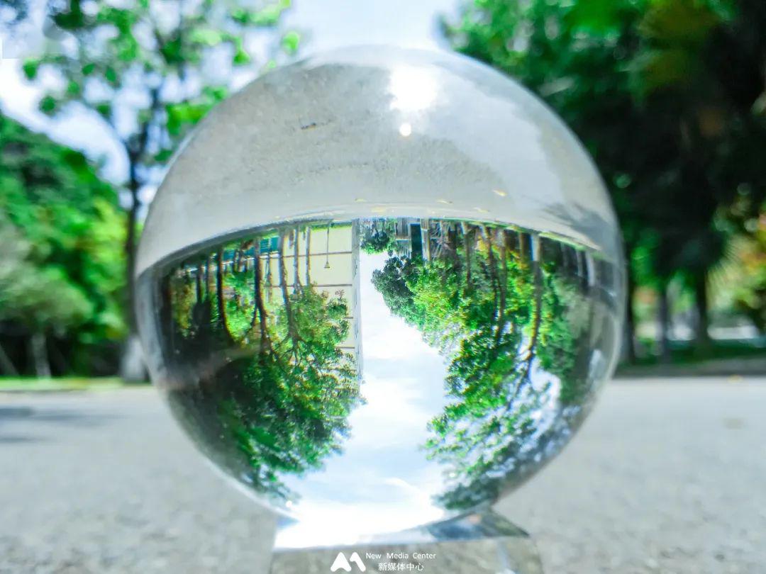 太美了限量版火大水晶球发售速来观赏