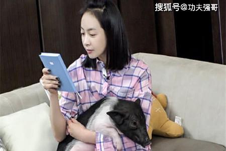 明星都养什么宠物宋茜和罗志祥养猪程潇的宠物太吓人