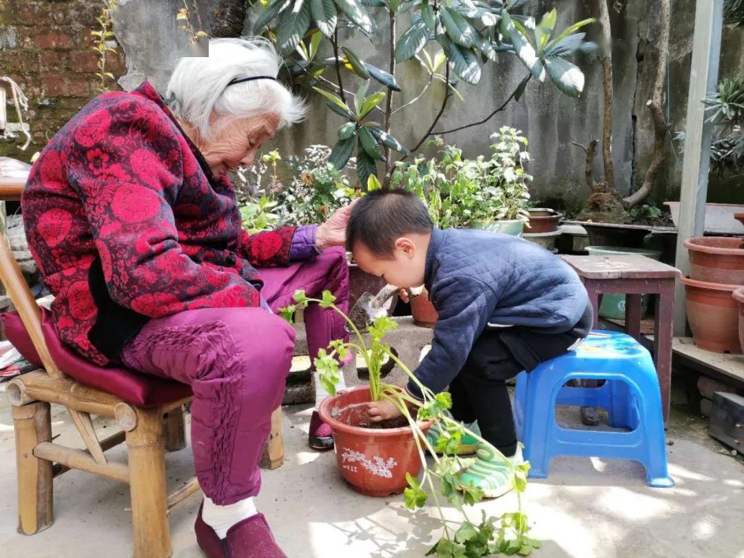 感动百年韶华一路芬芳致敬百岁退休教师鲁惠卿