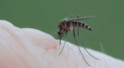 5e2228f0fe8340b8afbc2050e6d67843.gif