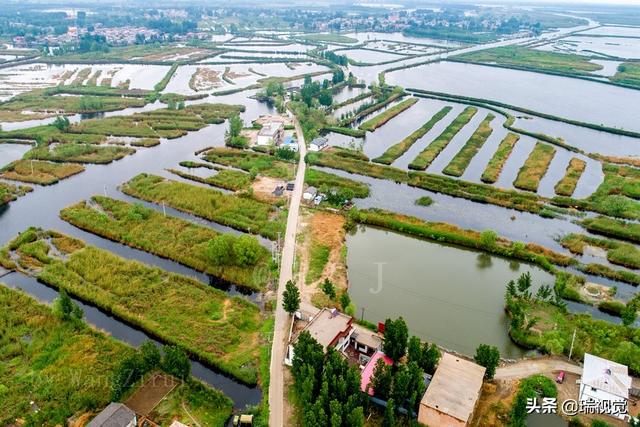 沿白洋淀东南角的千里堤,来到了同属圈头乡"纯水村"的邵庄子村