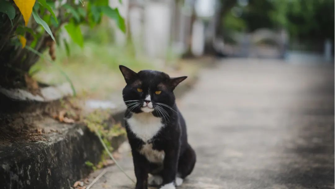 60701f0bb8ff498f88b756fe907e96c2.jpeg