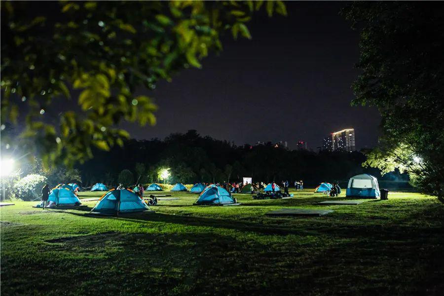 往期露营实景-我们有千亩大草坪有户外烧烤区,有篝火晚会有设施完善