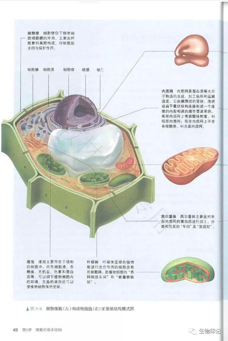 2019秋新教材高中生物必修1《分子与细胞》电子课本(高清版)