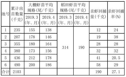 小龙虾温室大棚高效育苗技术模式的分析比较