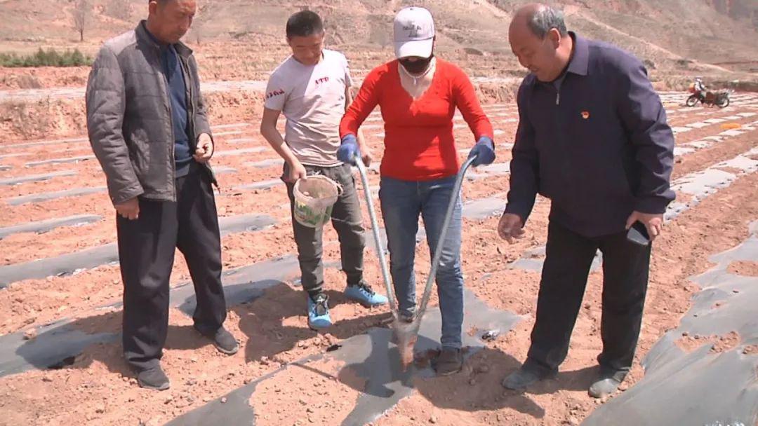 庞岗村人口_秦许乡扎那村人口(3)
