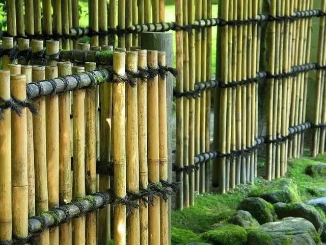 竹子生长迅速,选用枝杆挺拔竹身光滑的竹子制作花园的篱笆围墙或者