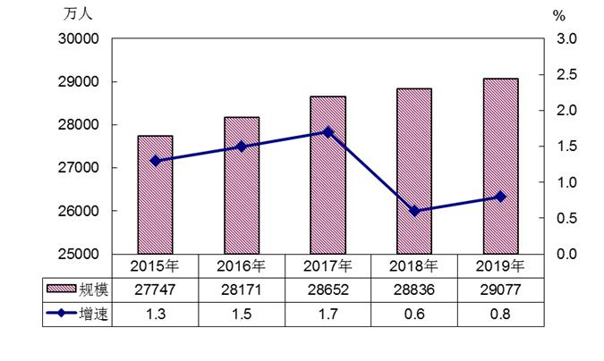 2019年农民工监测调查报告