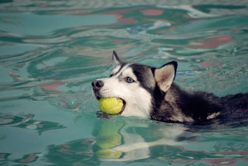 吃什么东西最容易拉稀 783b733110cf4999a3b4884ac853bfdd.jpeg