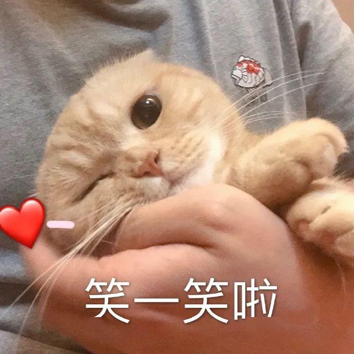 biu~疗愈人心的壁纸/头像/表情包