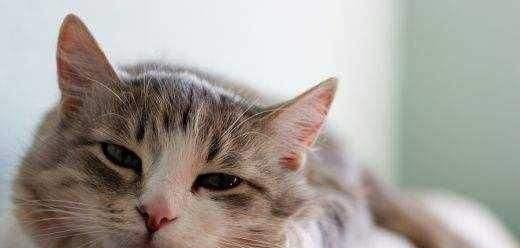7fb9cedb63554ec8a03883aa4e28d7c8.jpeg