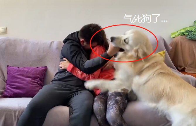 8845589ad6744e3caceb493221eccb62.png