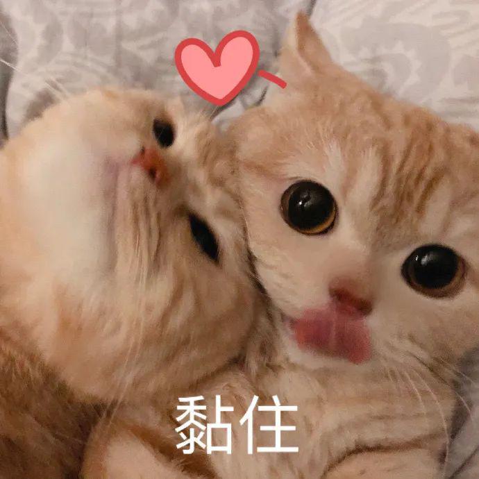 biu~疗愈人心的壁纸/头像/表情包