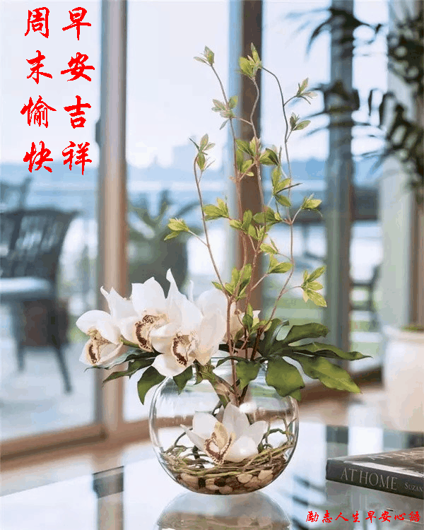 身体健康!家庭幸福!周末愉快!心情舒畅!新的一天,祝朋友们.