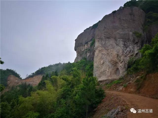 永嘉上塘镇箬岙村有多少人口_永嘉芙蓉古村图片(3)