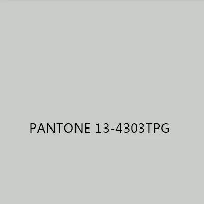 pantone 13-4303tgp