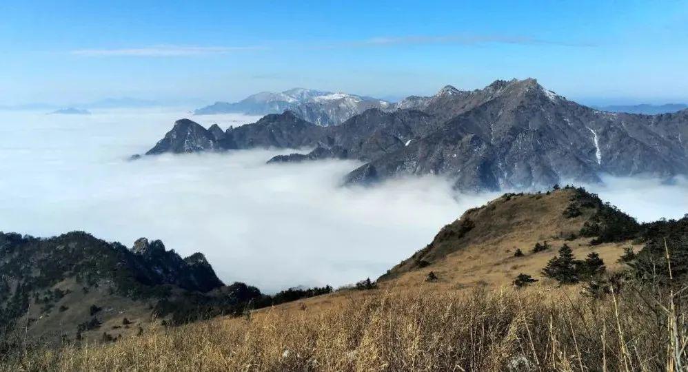 【秦岭十二印象丨分水岭高山草甸】5月16日丨东佛沟穿越东坪沟,杜鹃