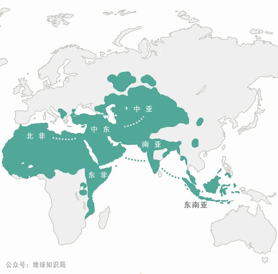 印尼有三亿穆斯林人口(2)