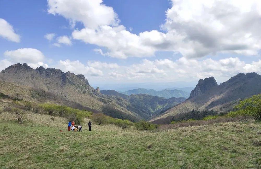 【秦岭十二印象丨分水岭高山草甸】5月16日丨东佛沟穿越东坪沟,杜鹃