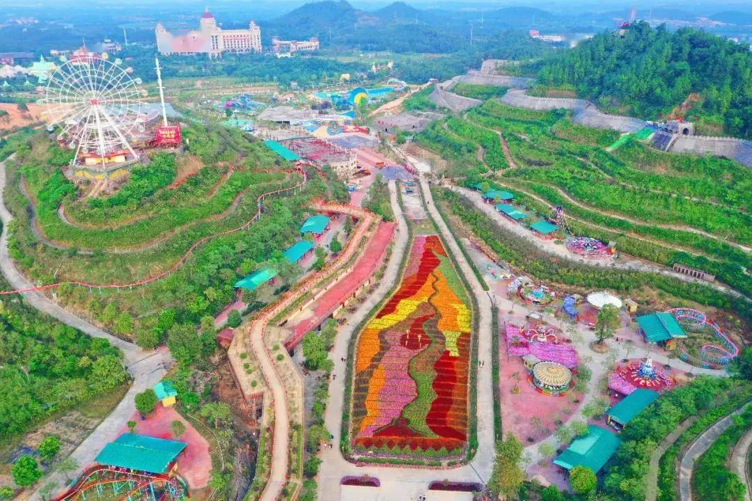 明天母亲节,恩平这个景区已经为你准备好了大礼…_花海