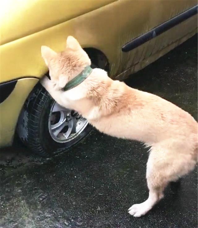 cee9d6ef7ff64f27af98e39aa40f1532.jpeg