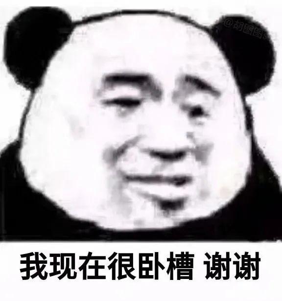 熊猫头表情包 i 搞基请联系楼上 妹子联系我