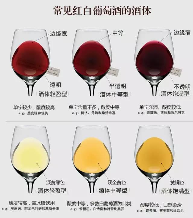 【品酒】酒体饱满的葡萄酒一定是好酒吗?_品种