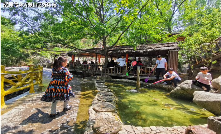 椿树沟旅游区椿树沟村舌尖上的椿树沟舌尖上的煎饼遍地书香拍摄地