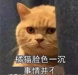 d90940e84e674c3797f8943652c6da7a.jpeg
