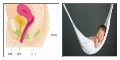 妈妈从关注盆底健康开始！关爱母亲