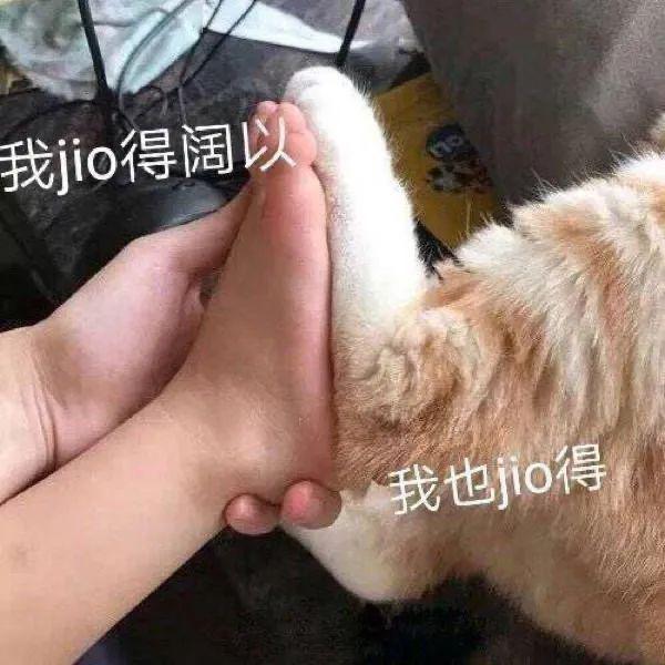 匡威我给你们找了100双！比匡威更便宜好看的帆布鞋