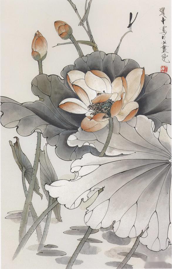 王道中工笔花鸟,春意盎然!