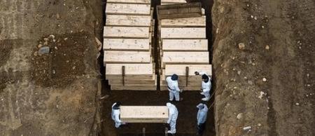 美国新冠死亡人口怎么处理_美国新冠死亡图片(2)