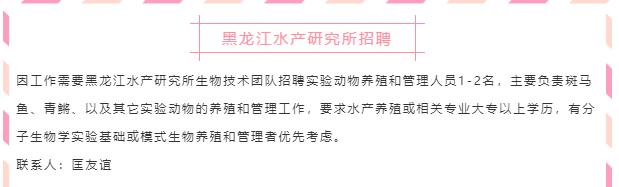 省内事业单位招聘582人！编制、福利待遇都在这儿了！