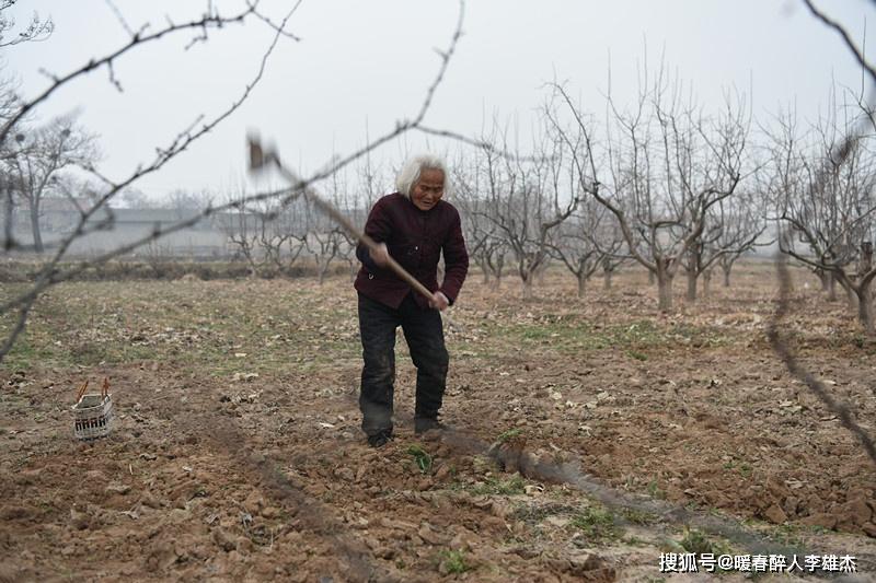 83岁老人跪地锄草,伺候86岁卧床不起丈夫,儿女呢