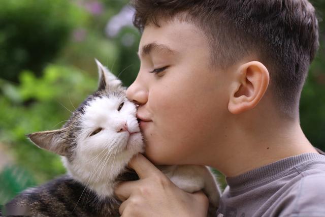 猫咪和主人互动 fa36d00b89fc4c50a983a4c006f6dae9.jpeg