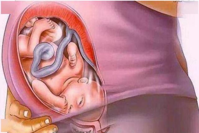 梦境中的孕育，未婚女子频繁梦见怀孕的深层解析