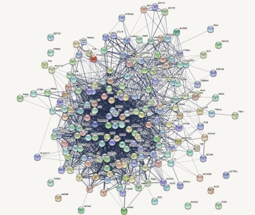 药理学零科研基础 3 个月能发表一篇 SCI ！用对这个方法