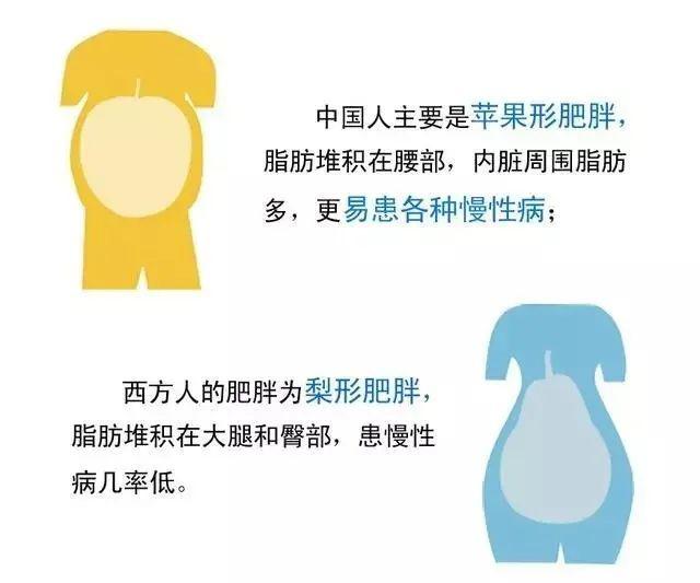 中国人肥胖有这些特点:体型小,指数小,肚皮大,危害大.