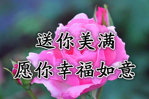 249f91e088e3496692efc30b0deb4e00.gif