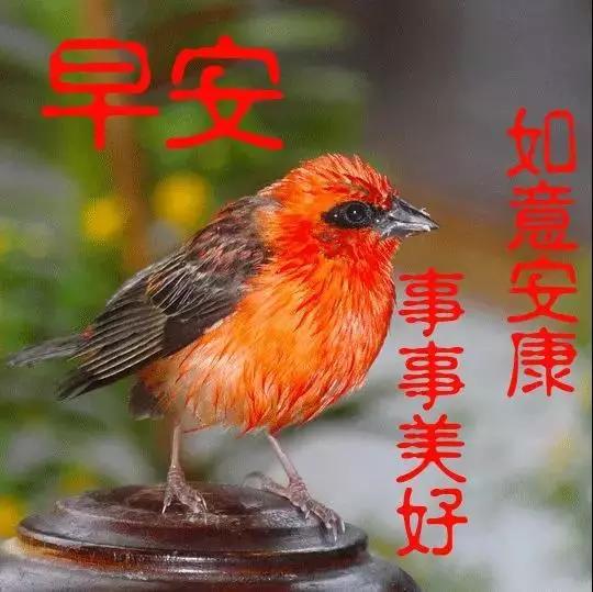 世上的事,只要肯用心去学,没有一件是太晚的,早上好